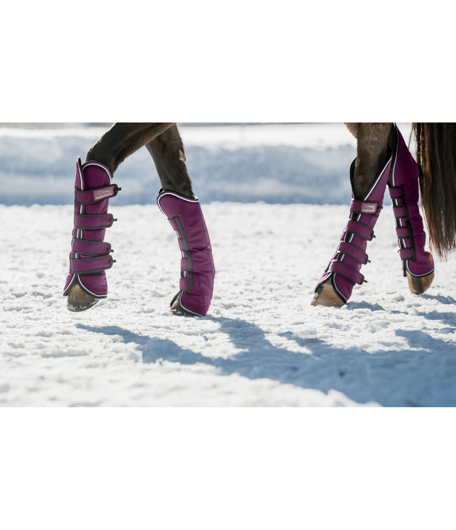 Transportgamaschen Kilian