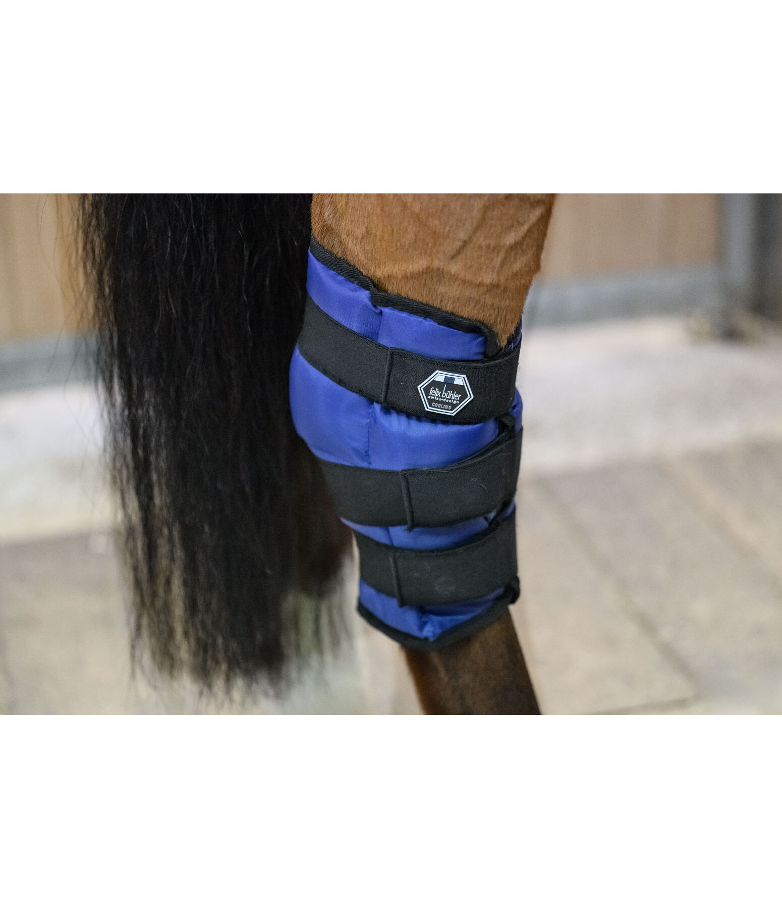 Sprunggelenks Ice Boots