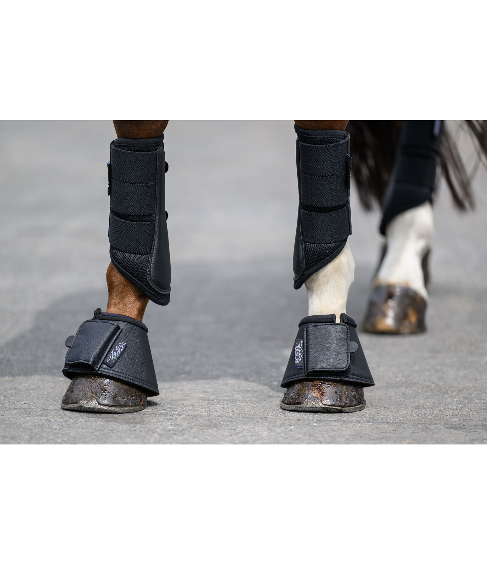 Springglocken Active