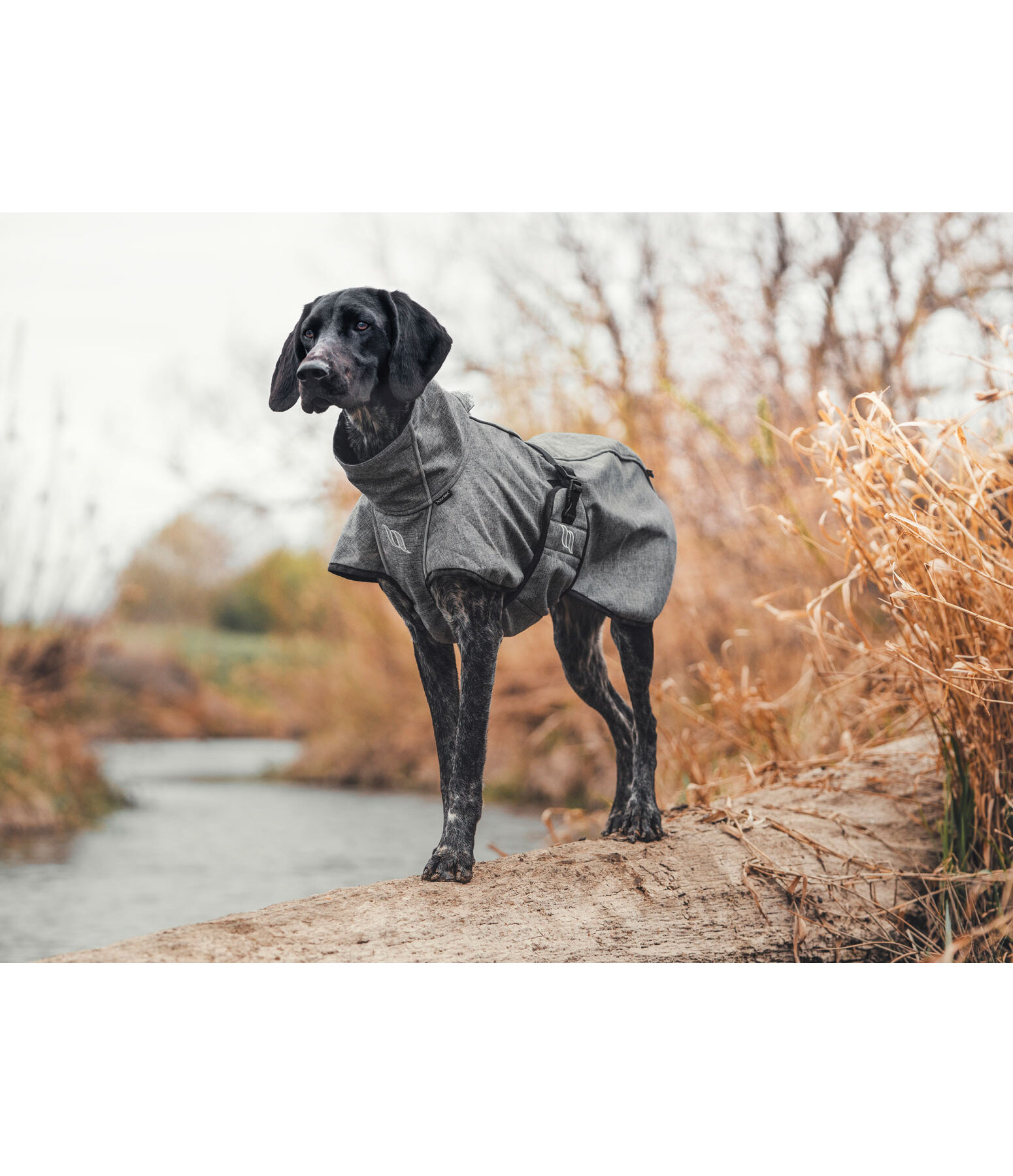 All-Round Softshell-Hundemantel Bark, 0 g