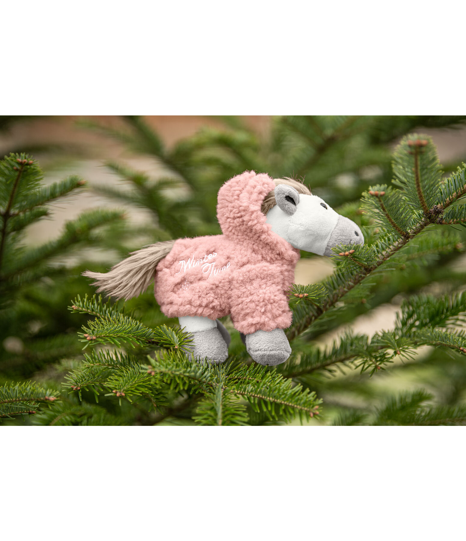 SH Horsly Wintertime