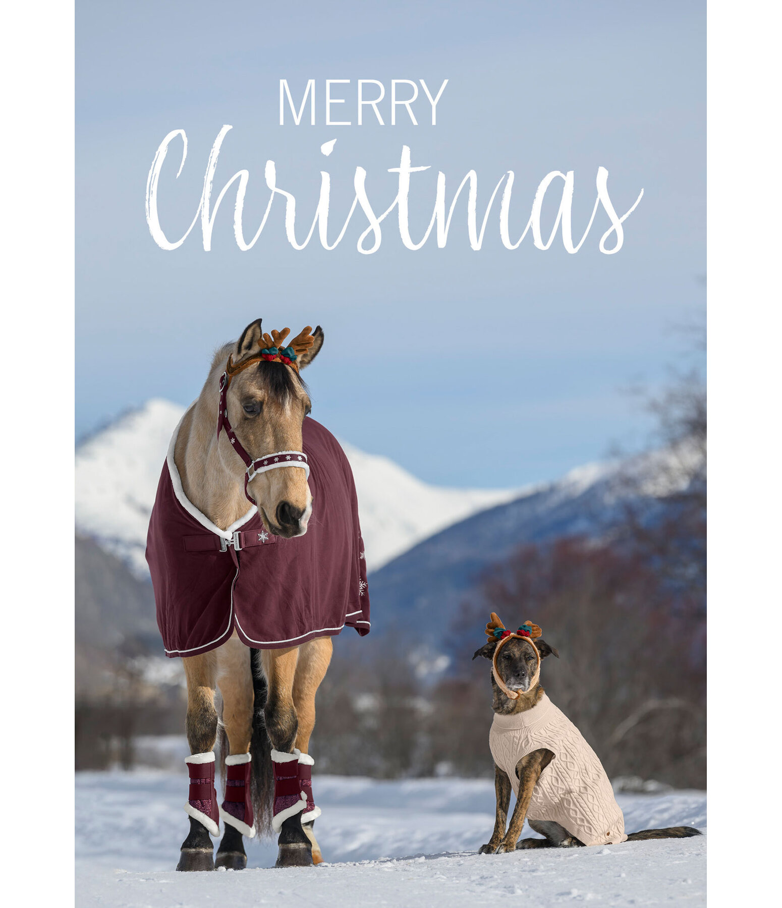 Grusskarte Merry Christmas