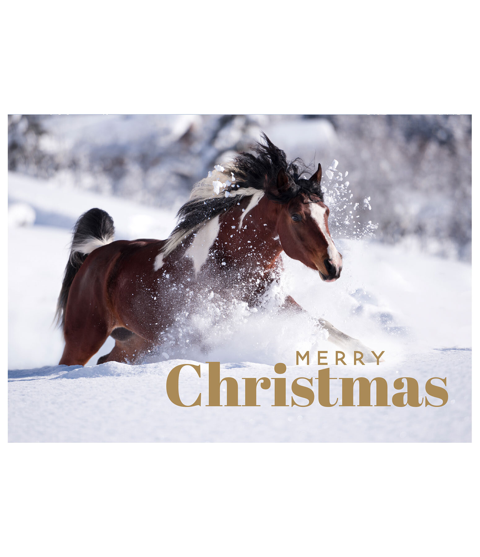 Grusskarte Merry Christmas