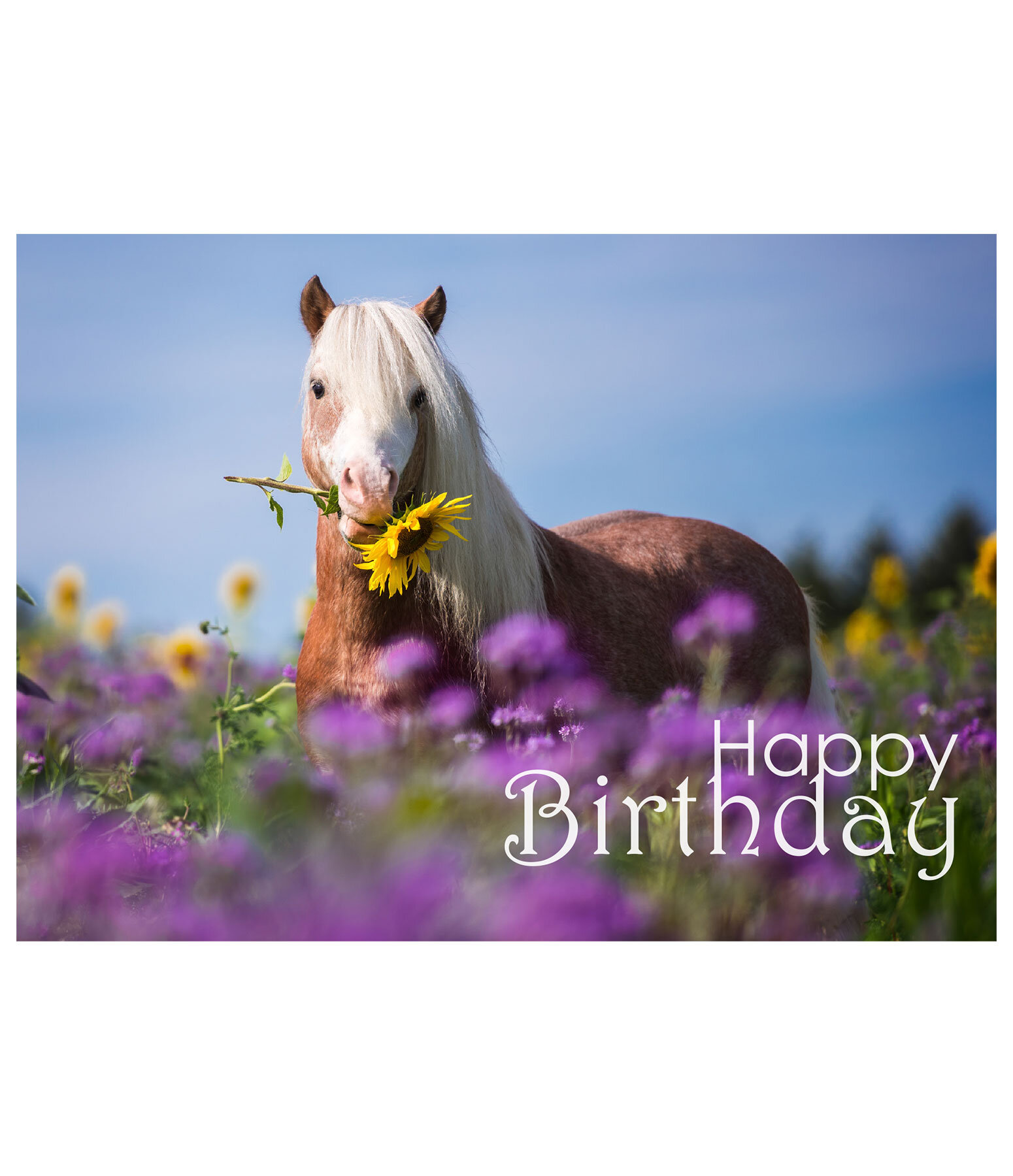 Grusskarte Happy Birthday II