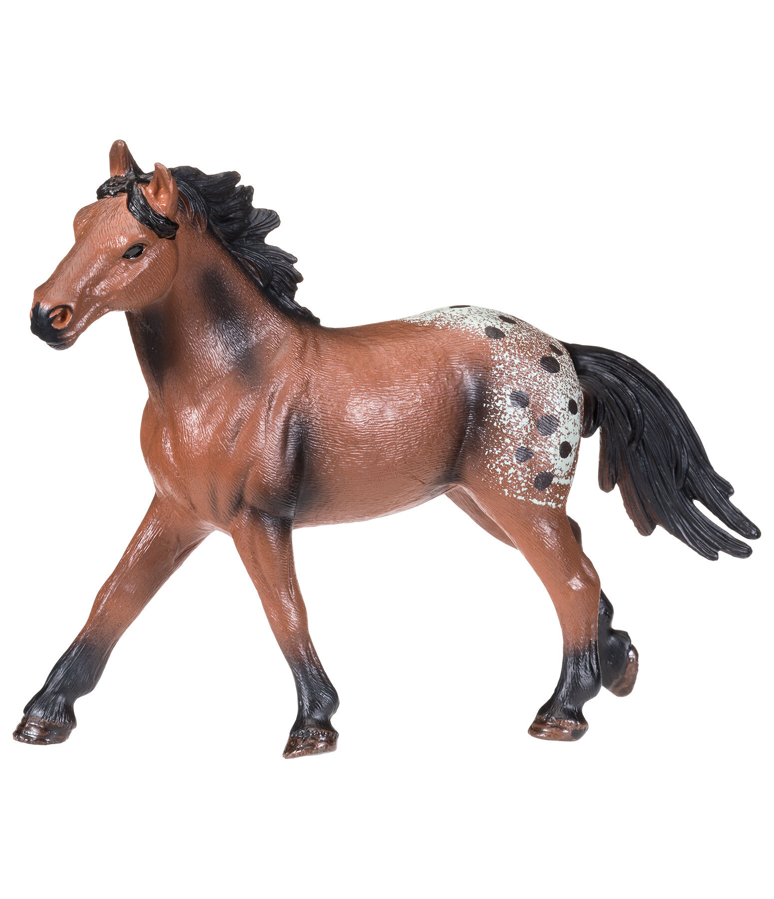 Play series Appaloosa