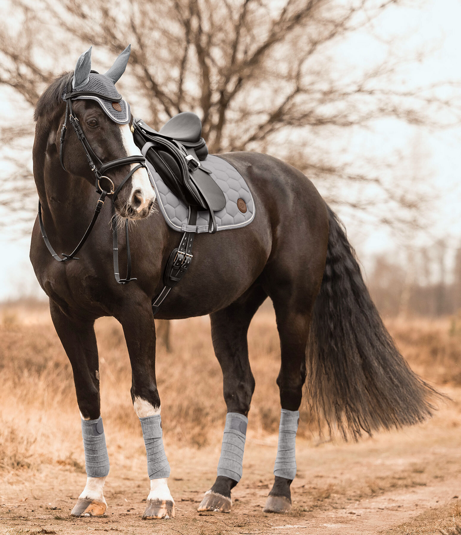 Outfit Felix Bühler Knitted in fog Felix Bühler