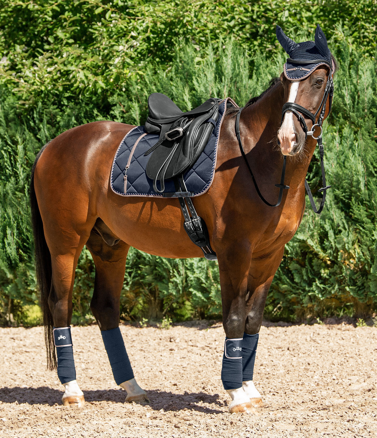 Outfit Felix Bühler Classy in navy - Felix Bühler