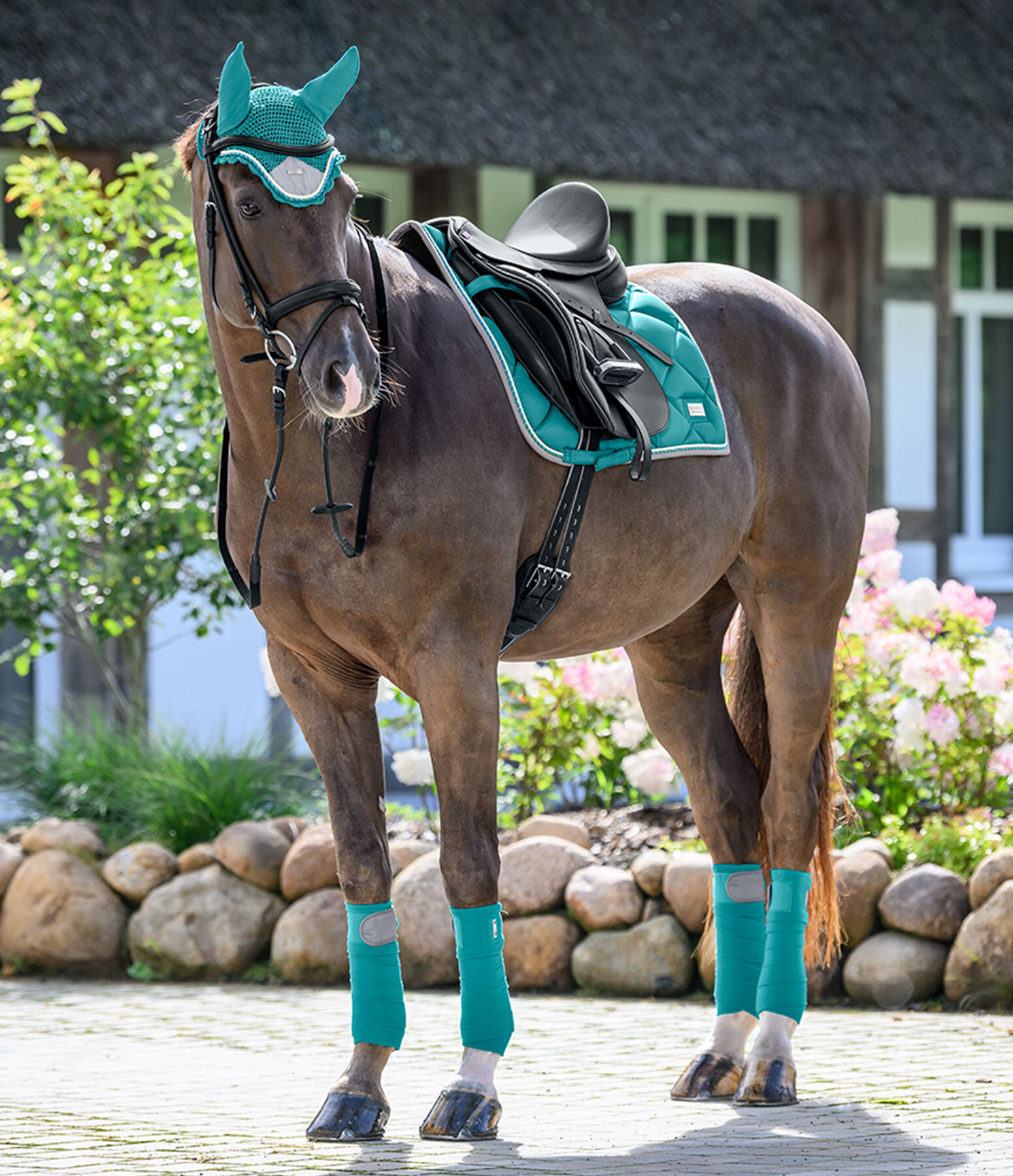 Outfit Felix Bühler Swiss Design in türkis - Felix Bühler