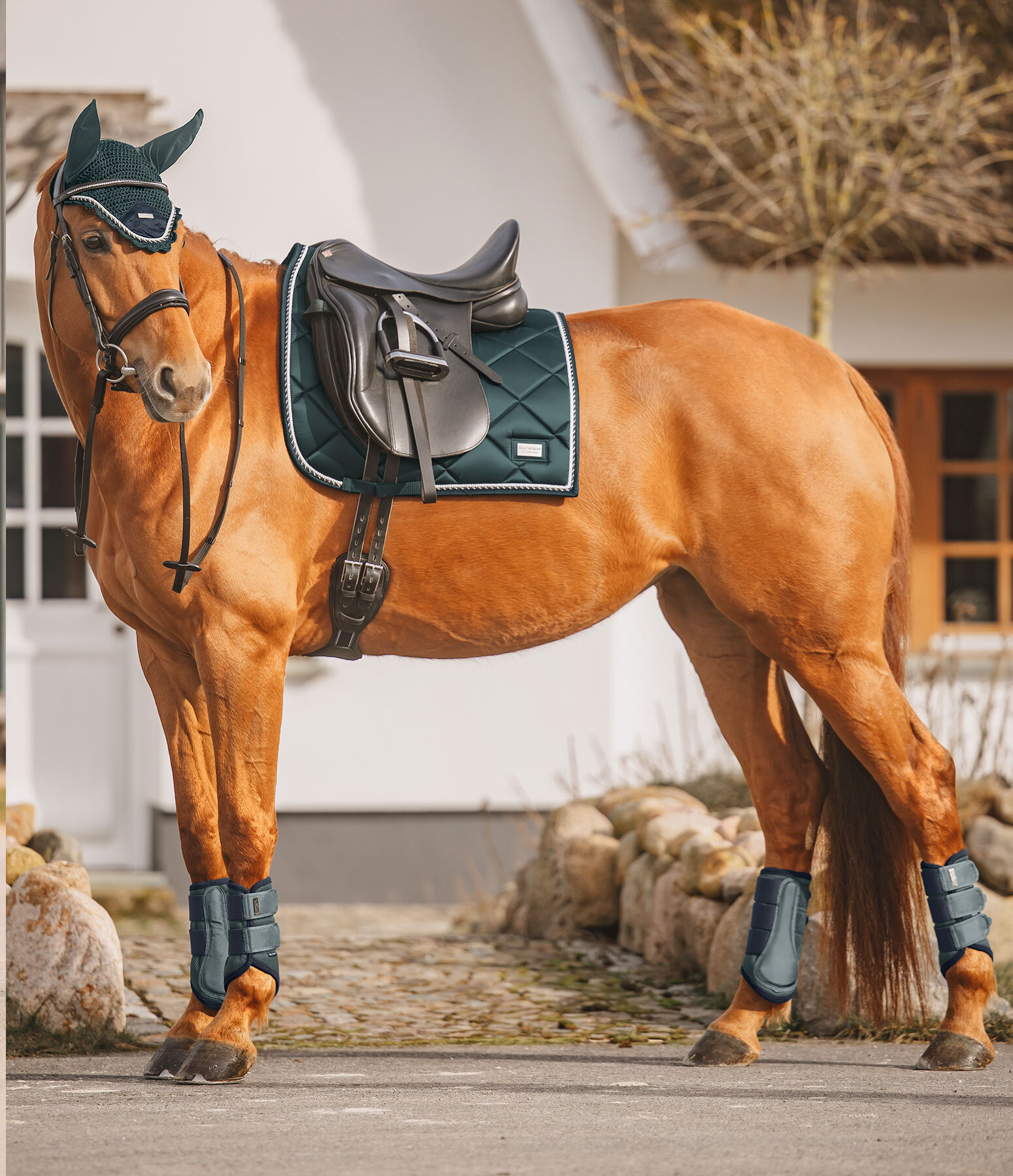 Outfit Swiss Design in green-tea