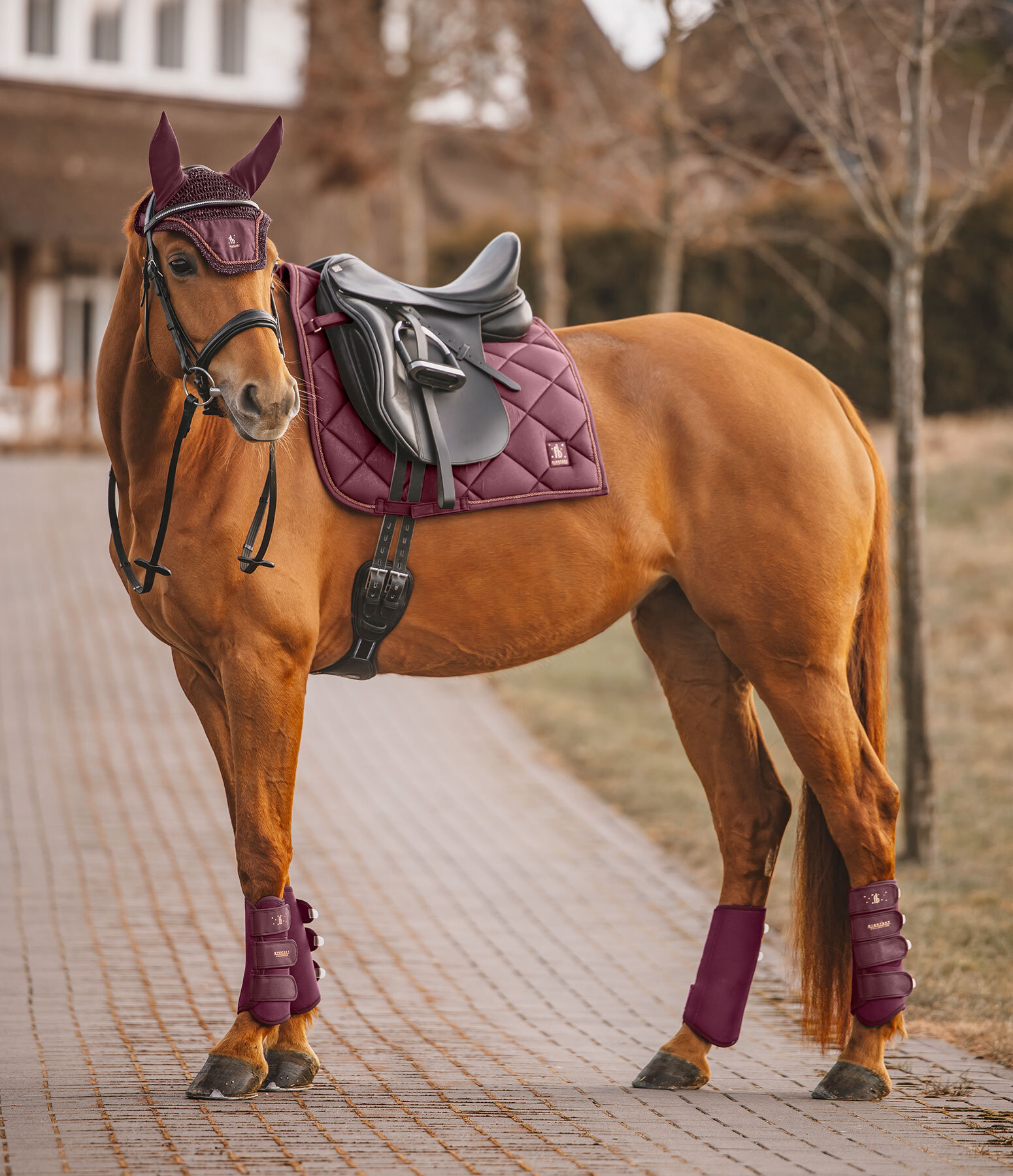 Outfit Nightsky in mahagoni