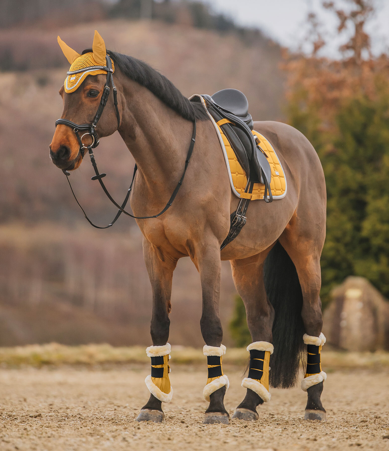 Outfit Essential in golden-mango