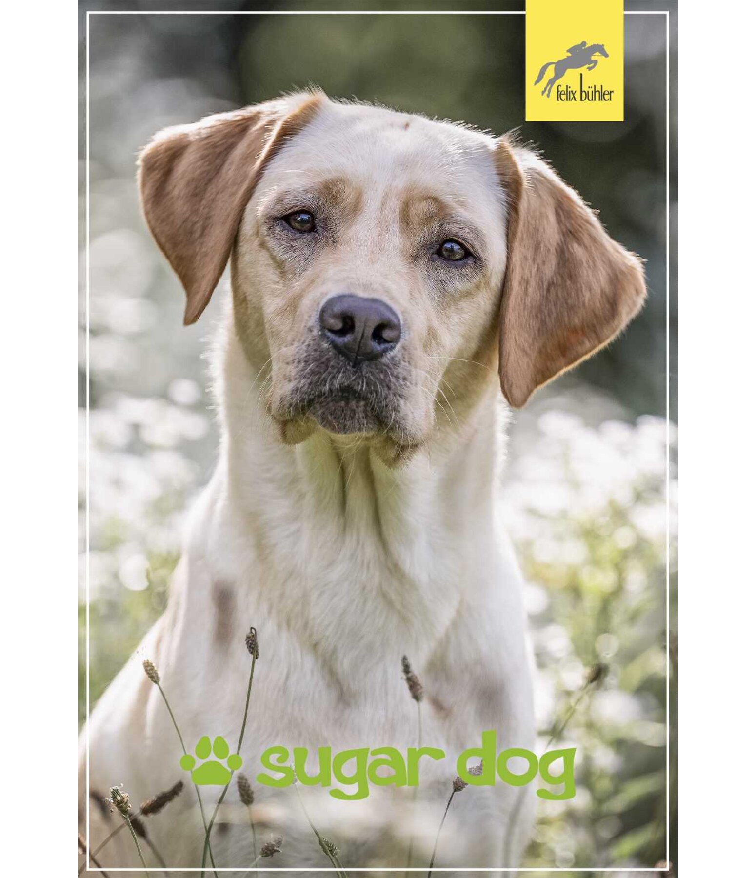 Geschenkgutschein zum Ausdrucken