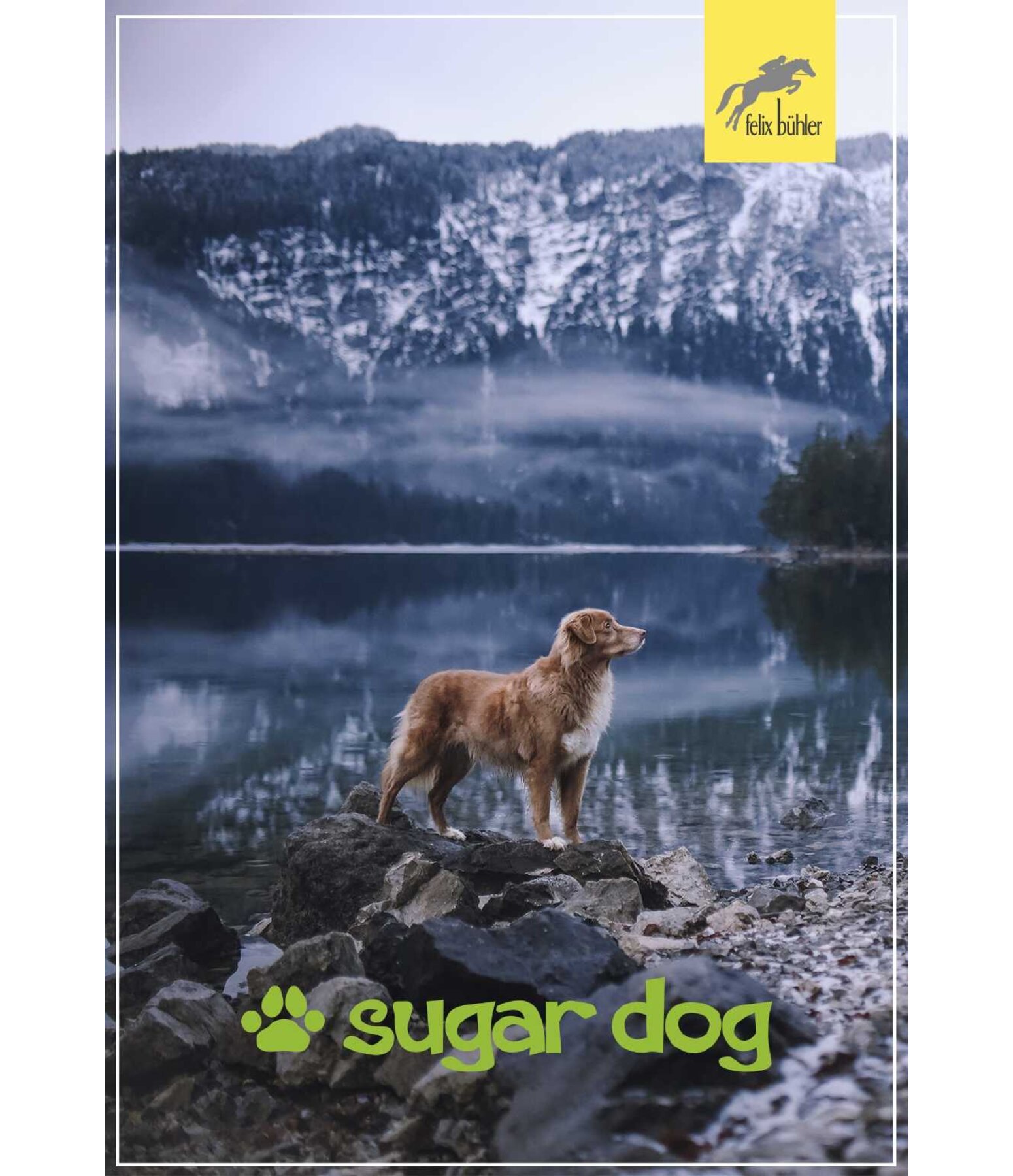 Geschenkgutschein zum Ausdrucken