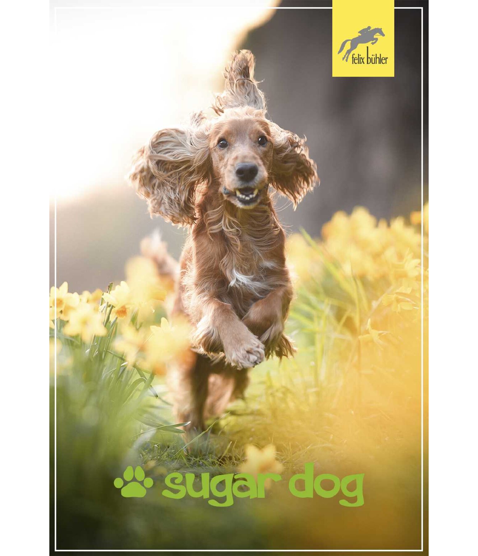 Geschenkgutschein zum Ausdrucken