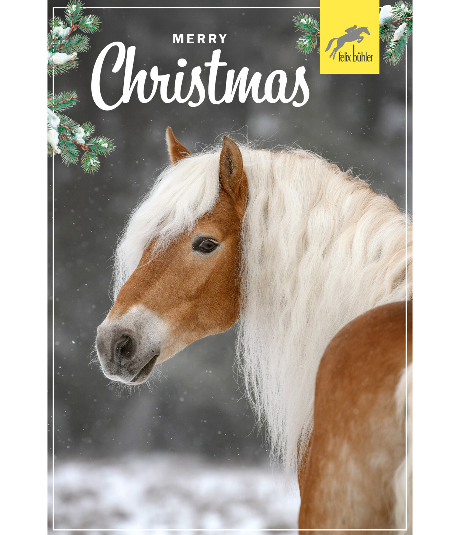 Geschenkgutschein zum Ausdrucken