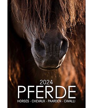 Krämer Pferdekalender 2023  mit deutschem Kalendarium - 333