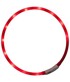 STEEDS LED-Leuchthalsband fr Hunde - 340190--R