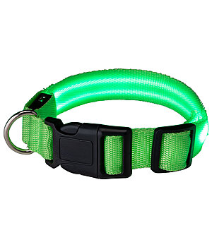 STEEDS LED-Hundehalsband Loom - 340991-S-G