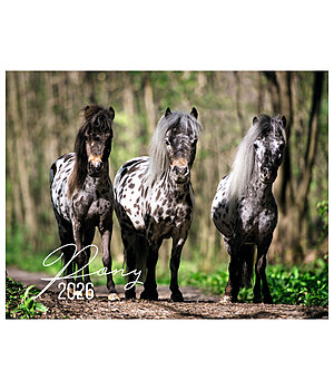 Equino Media Pony Kalender 2026 - 402538