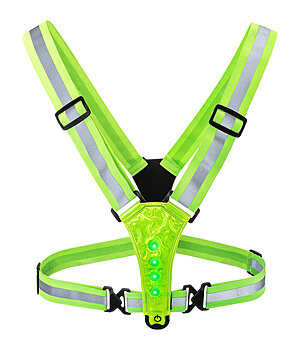 STEEDS LED Reflexgurt USB - 600031--Y