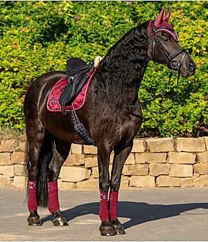 Outfit Felix Bhler Equestrian Sports in kirsche - OF001570