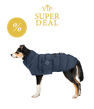 VIP Super Deal sugar dog LED-Hunde-Steppjacke Arlo, 300 g - V231203