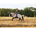 Fliegen-Ausreitdecke mit einrollbarem Halsteil