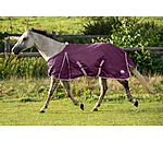 Fliegendecke Breeze