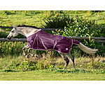 Fliegendecke Breeze