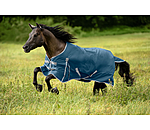 Regendecke Billy