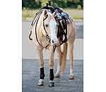 Einohr-Trainingskopfstck Harness