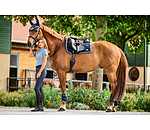 Schabracke Swiss Design