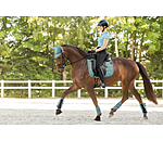 Schabracke Mesh-Technology