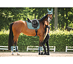 Schabracke Mesh-Technology