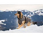 Hundemantel Eddie mit Fleeceinnenfutter 200 g