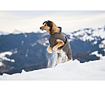 Hundemantel Eddie mit Fleeceinnenfutter 200 g