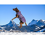 Hundemantel Eddie mit Fleeceinnenfutter 200 g