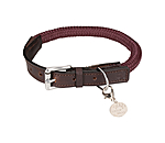 Hundehalsband Rope