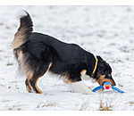 Hundehalsband Rope