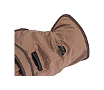 Nylon-Hundemantel Ally 2 in 1