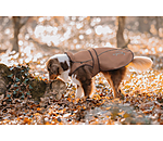 Nylon-Hundemantel Ally 2 in 1