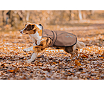 Nylon-Hundemantel Ally 2 in 1