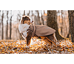 Nylon-Hundemantel Ally 2 in 1