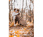 Nylon-Hundemantel Ally 2 in 1