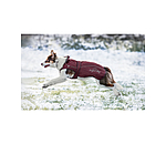 Nylon-Hundemantel Ally 2 in 1