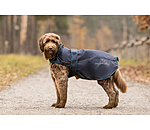Nylon-Hundemantel Ally 2 in 1