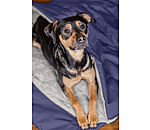 Hunde Schlafsack Sirius
