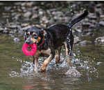 Hundespielzeug Mia