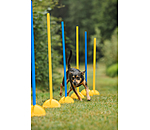 Agility Stangen