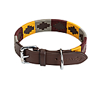 Set: Leder-Hundehalsband und -leine Polo Sports